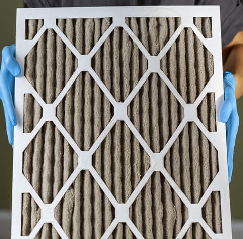 person_holding_heavily_clogged_air_filter | person_holding_heavily_clogged_air_filter | person_holding_heavily_clogged_air_filter